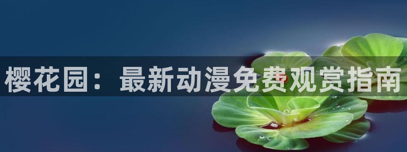 关于星空的图片