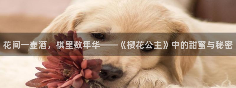 蜜桃视频电影在线观看免费高清