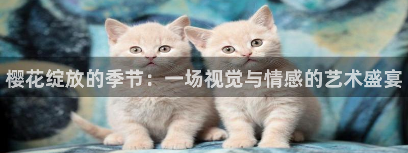 免费观看蜜桃视频