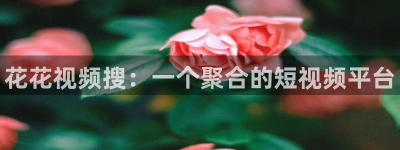 蜜桃视频免费观看视频
