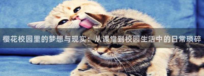 蜜桃视频动漫免费播放