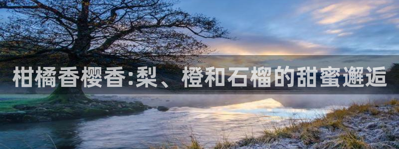 星空影视手机版官网