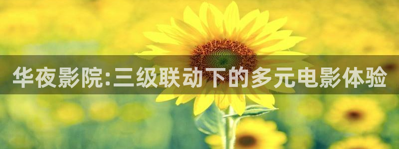 蜜桃视频免费入口