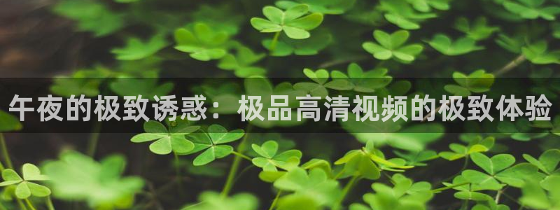 影视厅星空顶