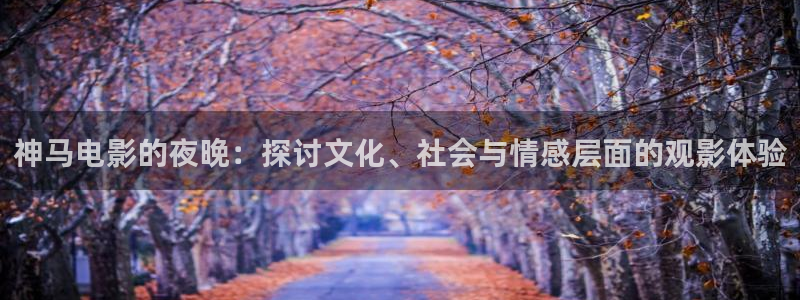 星空影视免费电影