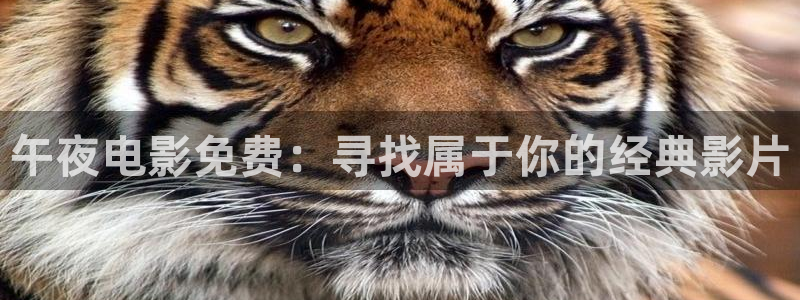 蜜桃视频动漫免费观看