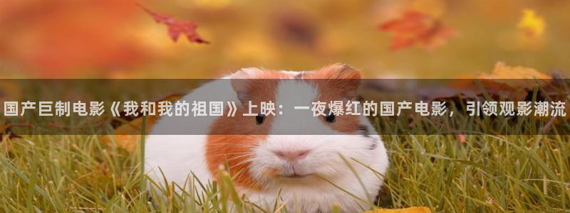 蜜桃视频免费观看在线