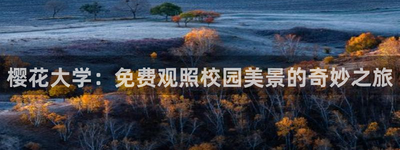 蜜桃视频高