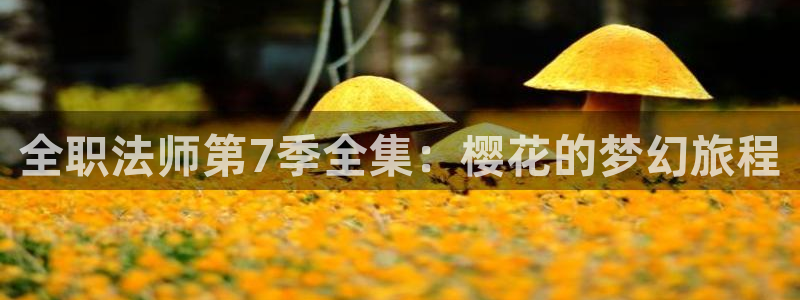 蜜桃视频好看的
