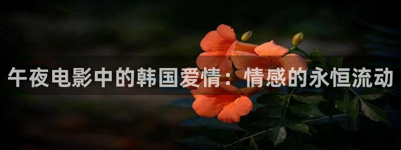 星空影电影
