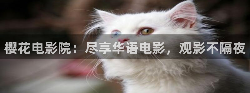 蜜桃视频电影免费观看