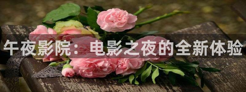 蜜桃视频动漫