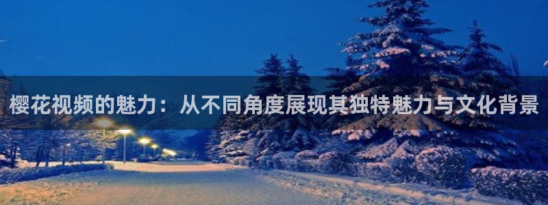 星空照