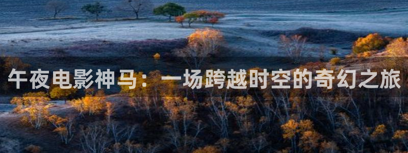 电影星空里的拼图