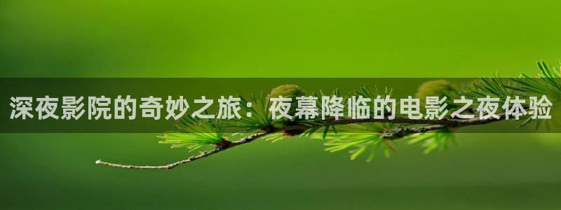 星空无痕mv高清在线播放