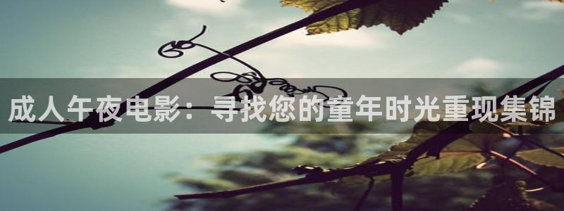 神马影院秋霞星空